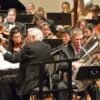 Tuba Mute - Image 3