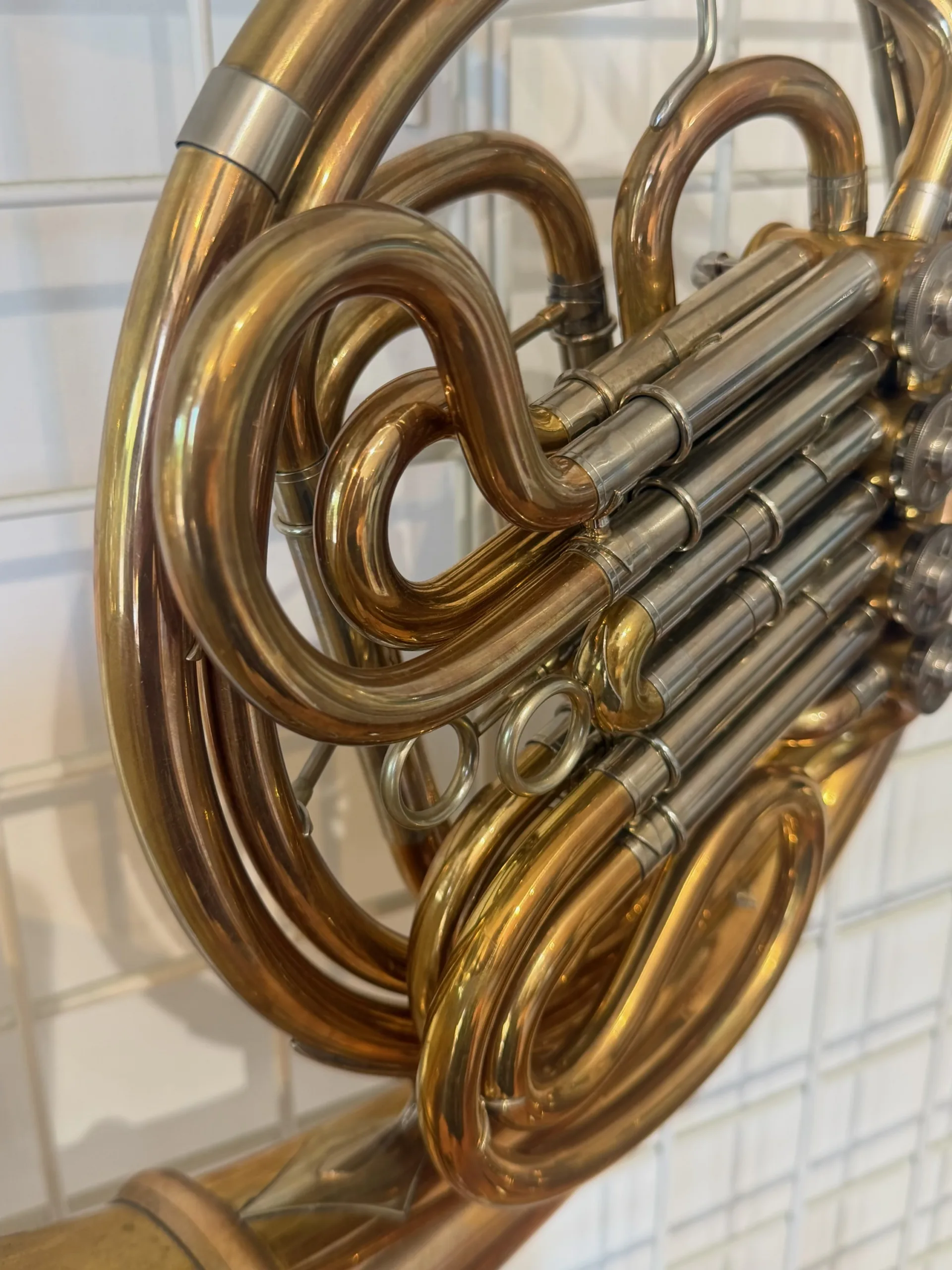 Verus Double French Horn - Image 5