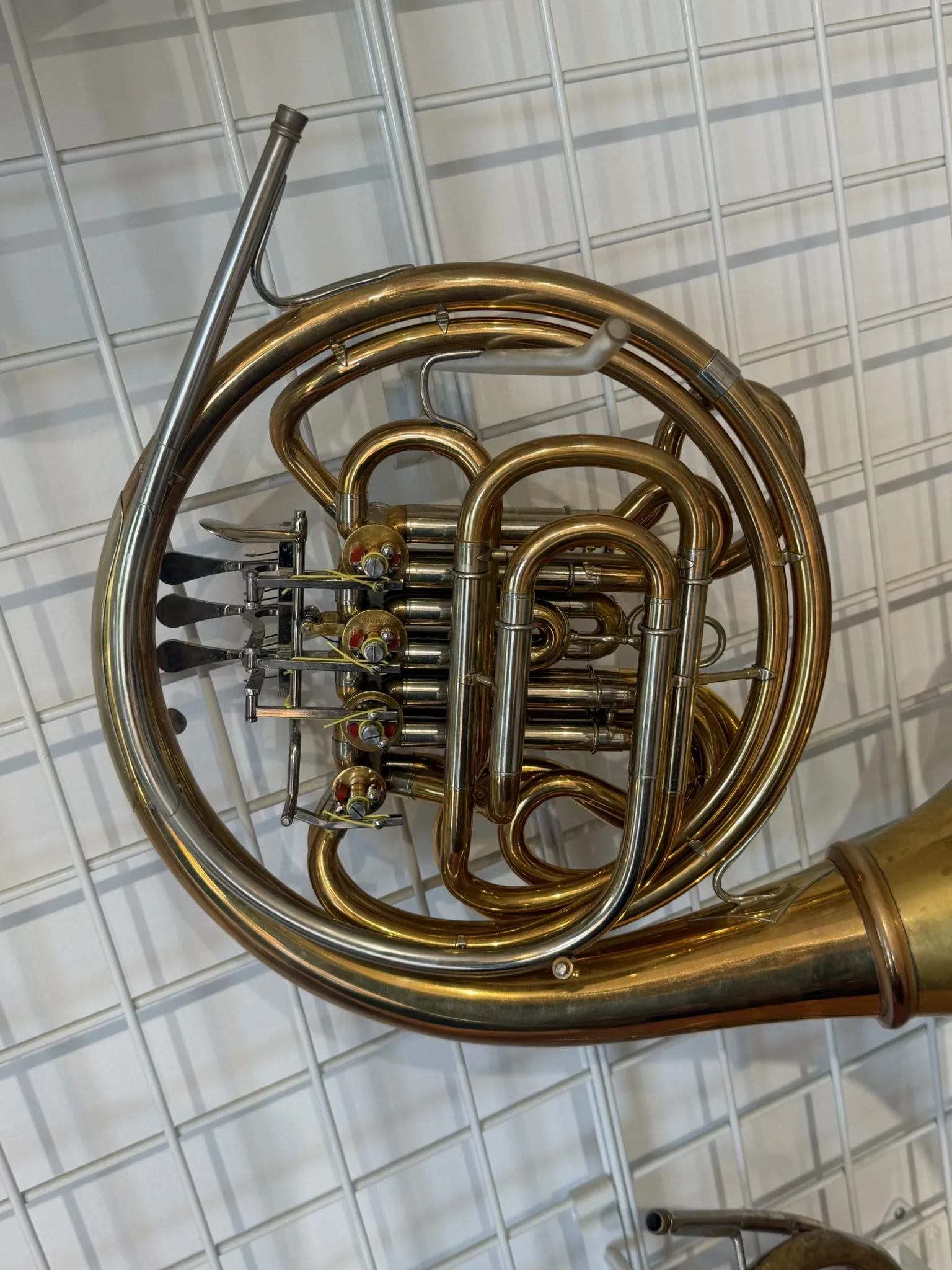 Verus Double French Horn - Image 4